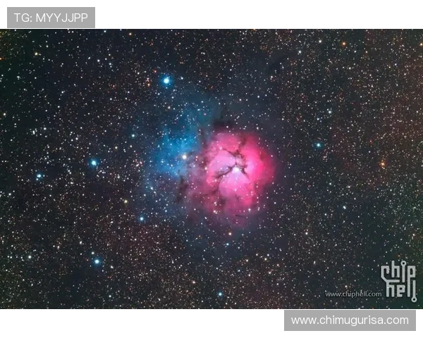 星空官方网站登录入口的用户体验评测与使用建议分享