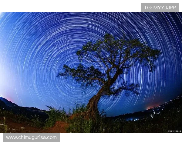 星空地址平台实用技巧详解：如何利用平台规划最佳观测路线