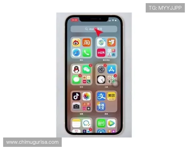 苹果用户必备星空娱乐app下载技巧与破解方法全攻略